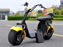 Scuter Electric Trotineta ELECTRICA Scooter Chopper E-BIKE Bicicleta
