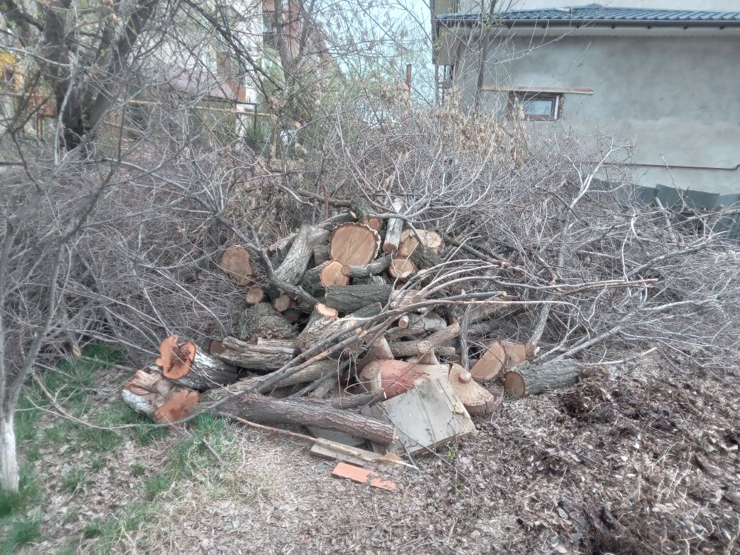 Отдам даром дрова