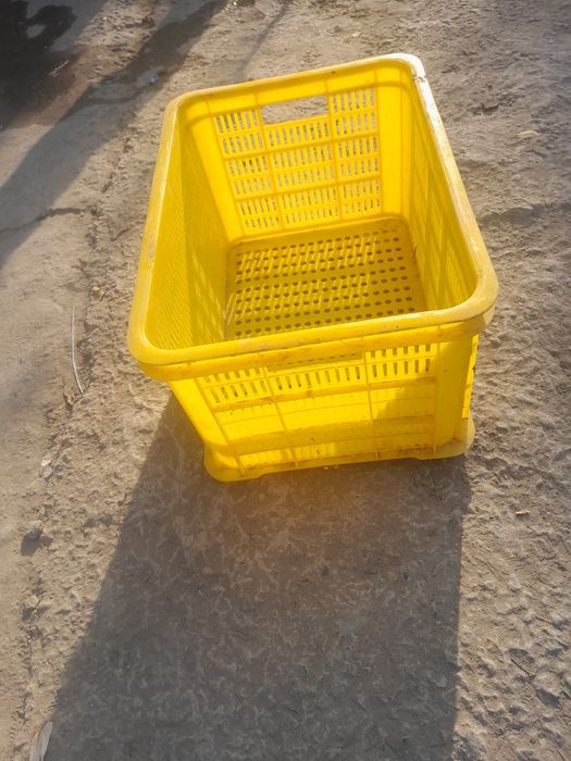 Poliz ekinlari va Bog' mevalari uchun