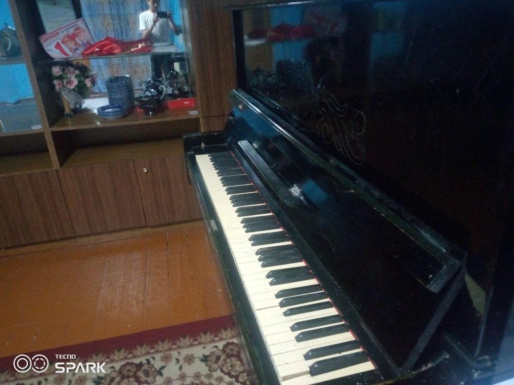 Pianism belarusiyadan kelgan sastayanasi yahshi