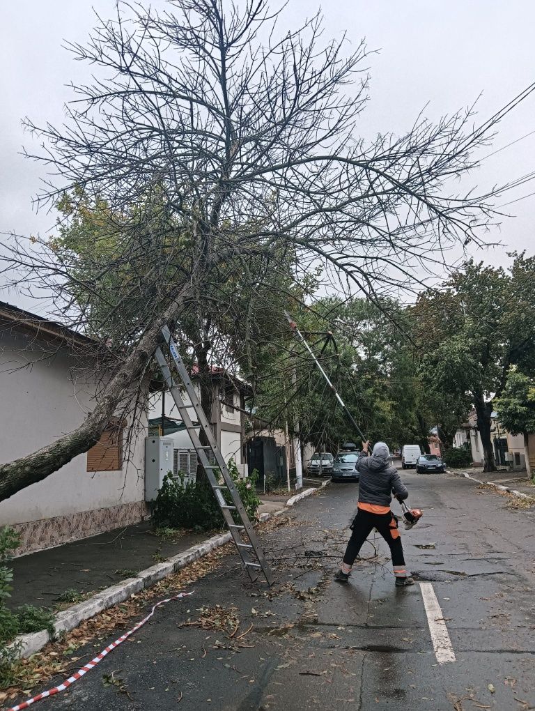 Defrișări/Tăieri Arbori/Cosit Vegetație/Tuns Gard Viu/Rapid