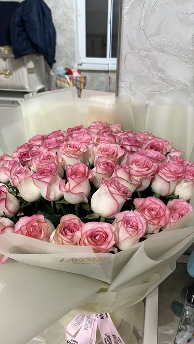 Свежие розы. 51 штук голландская роза