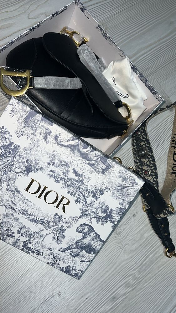 Geanta Dior Saddle bag
