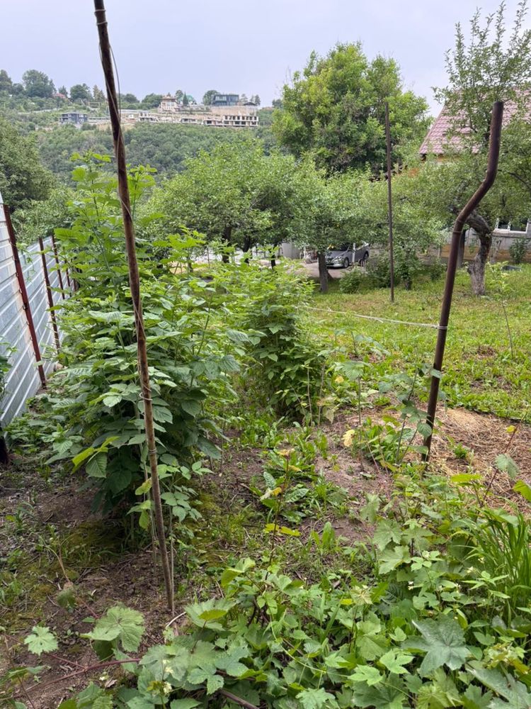 Продам дом с участком 12 соток
