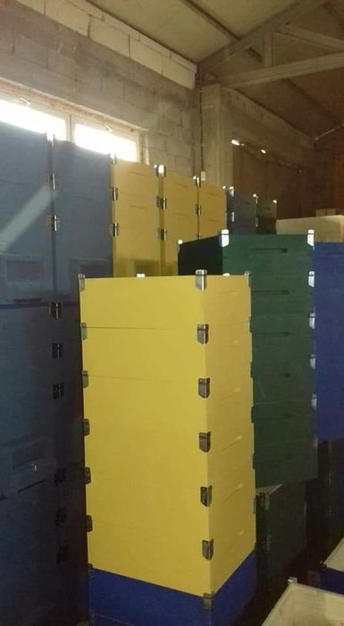 Stupi verticali,orizontali,roinite,nucleu de împerechere. alimentator.