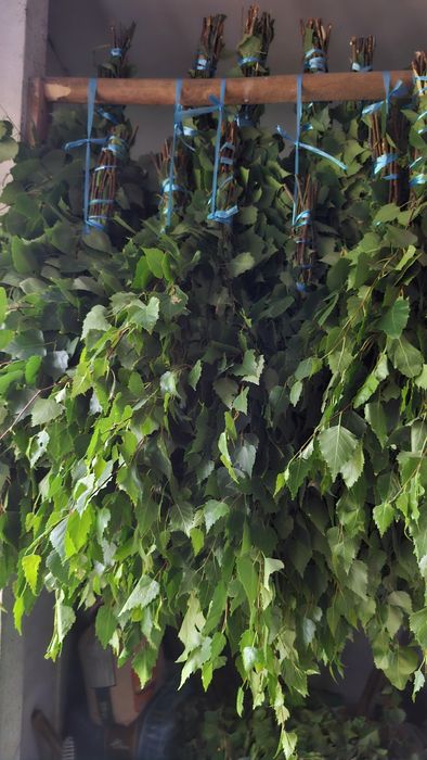 Веники по 1000 тенге