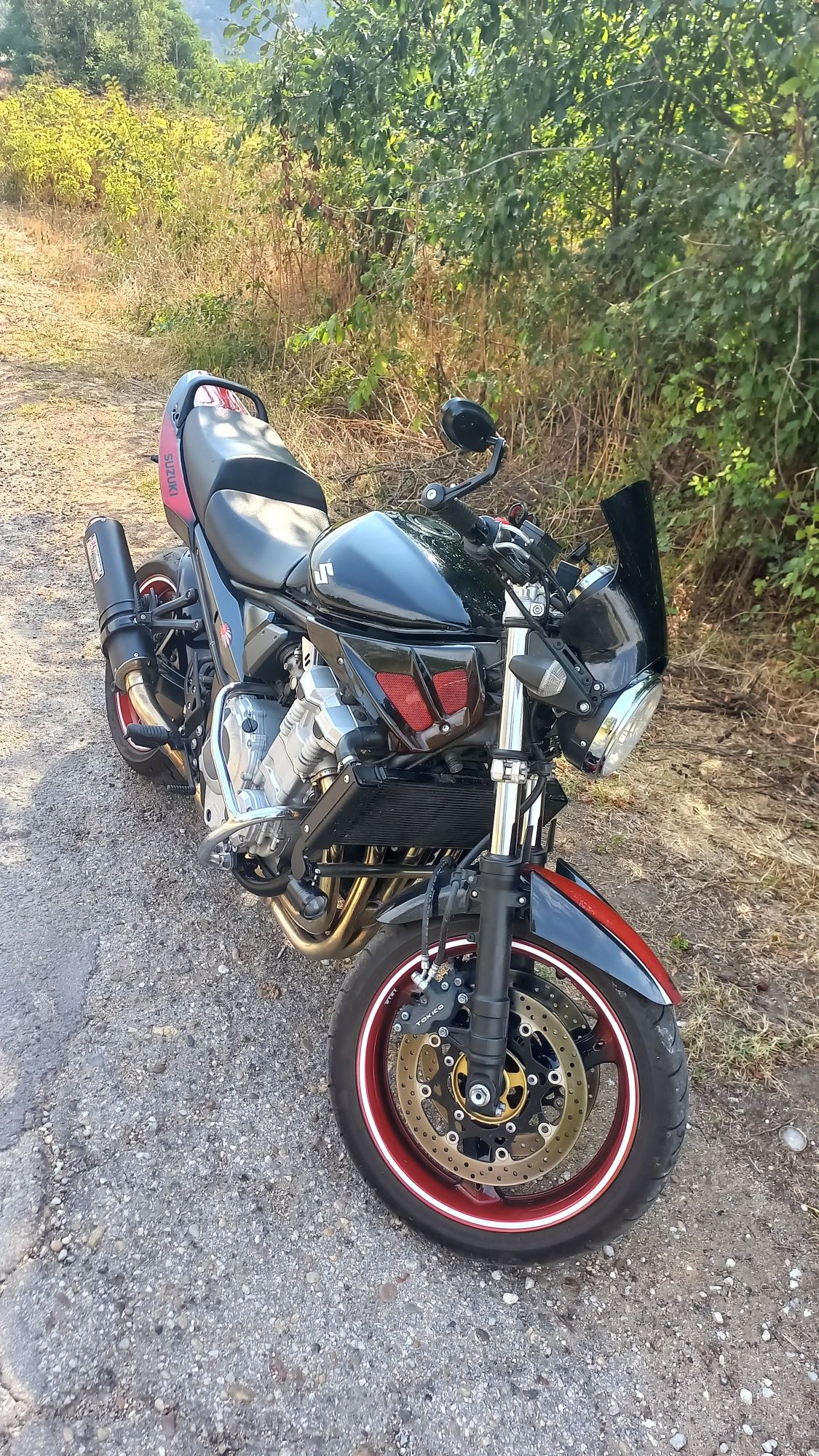 Suzuki Bandit GSF 1250