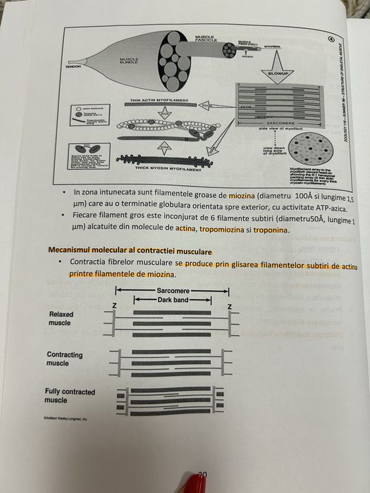Carte biofizica medicala