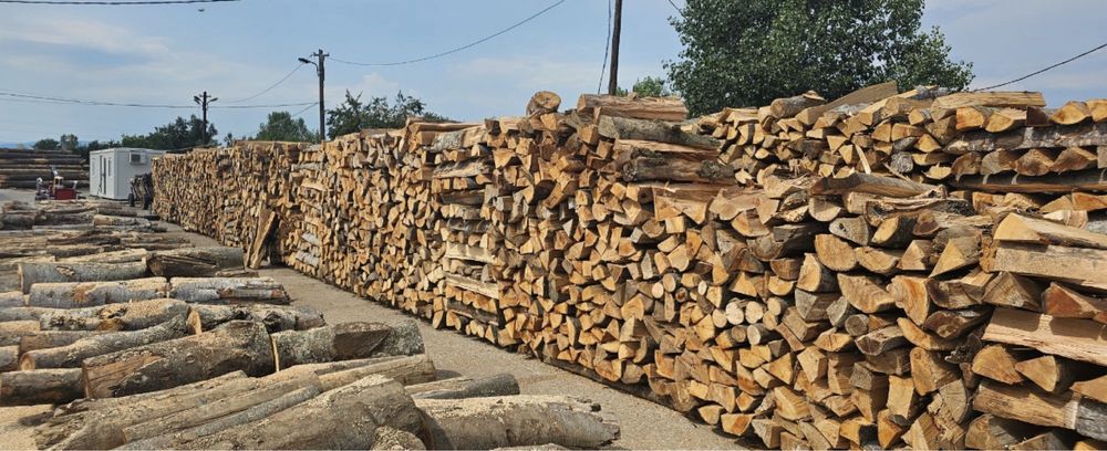 Lemne de foc esență tare (Fag, Carpen, Stejar )