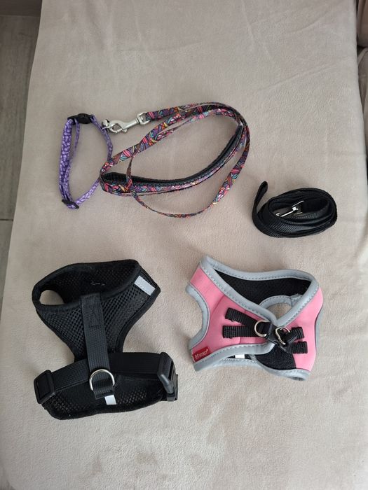 Аксесоари за домашен любимец куче /коте