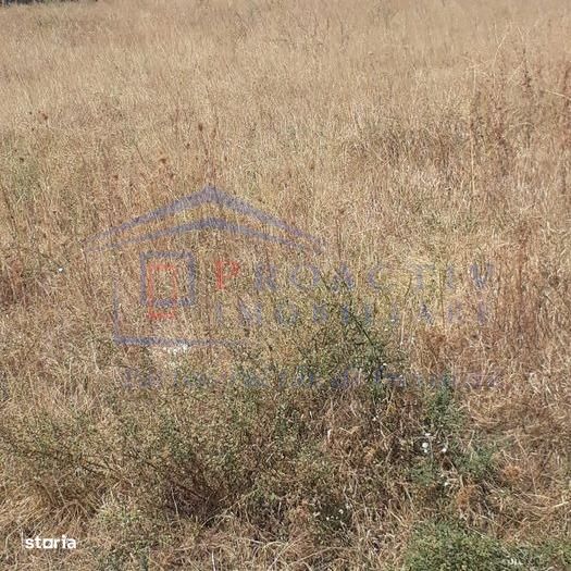 Teren intravilan, Moara, T-7396