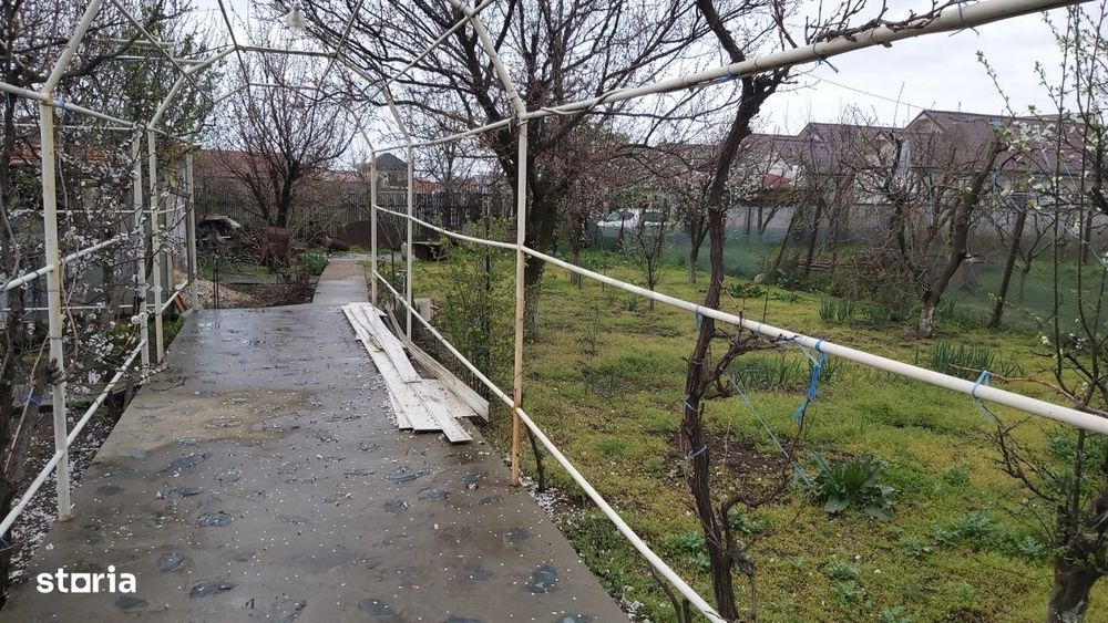 Oportunitate I Teren Intravilan I 1000 MP - Navodari