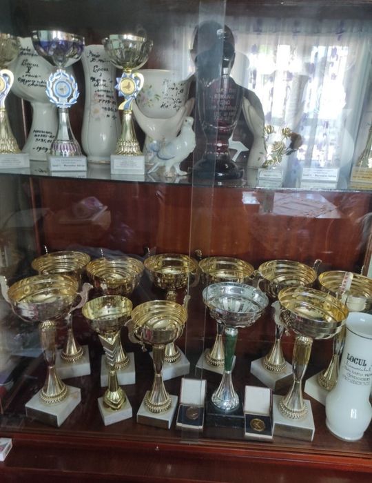 Porumbei voiajori cu expozitie