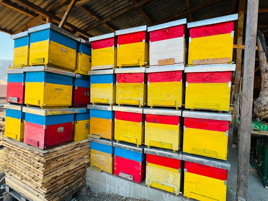 Stup dadant, 12 rame + magazie