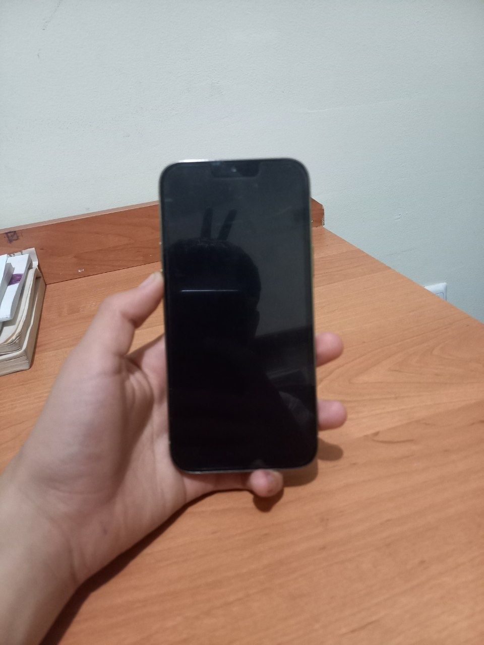 Iphone 13 pro max dubai versiya