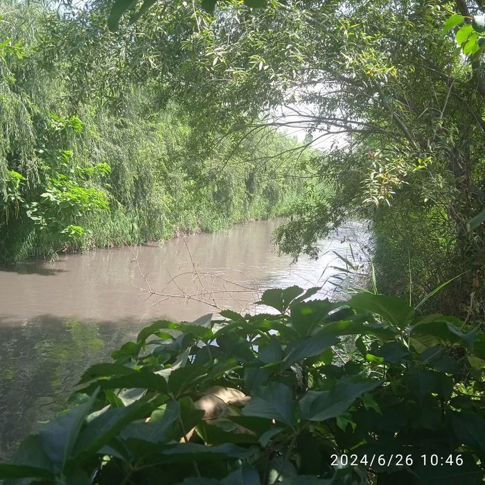 Аренда дома 3 комн. Янгидархон.