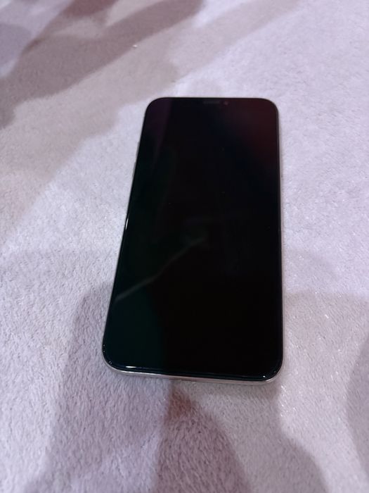 iPhone X 100 battery health