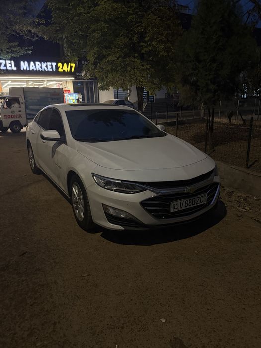 Malibu 2 primer qlngan