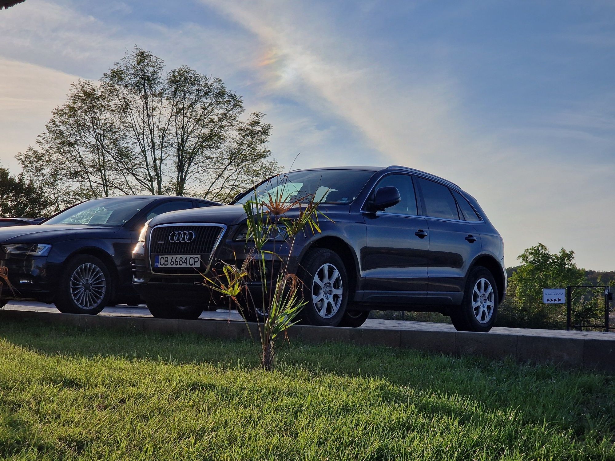 Audi Q5 2010  дизел