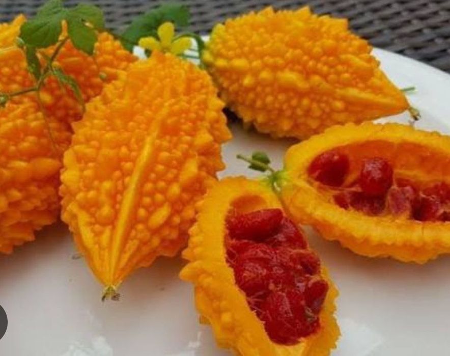 Растишки на посадку