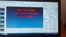 Продам айфон 13. 128 гб