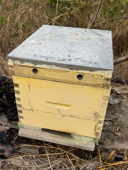 Пчелни кошери Даданблат употребявани