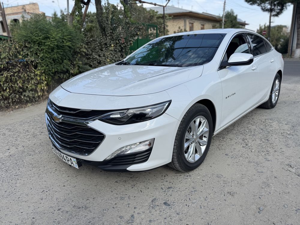 Malibu 2020 краска тозза