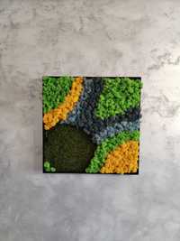 Tablou cu licheni și mușchi naturali stabilizați, înrămat, 40cm * 40cm