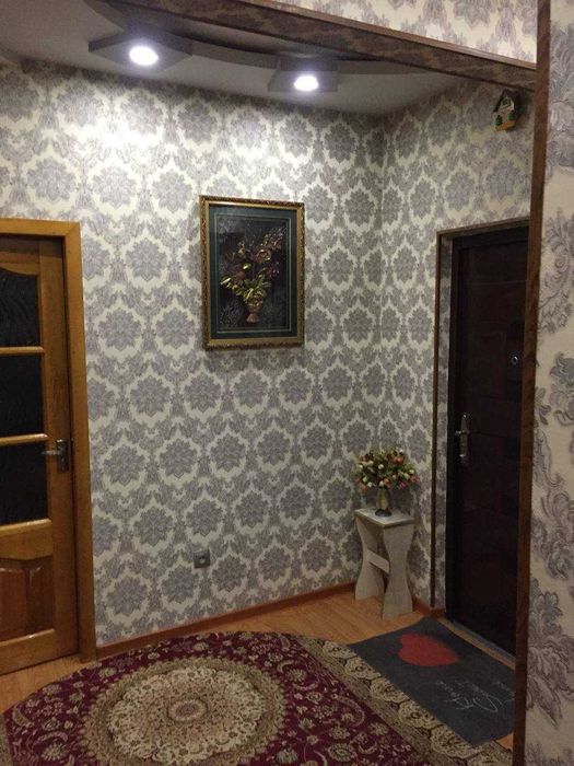 Квартира , кора камиш . Йули йузида