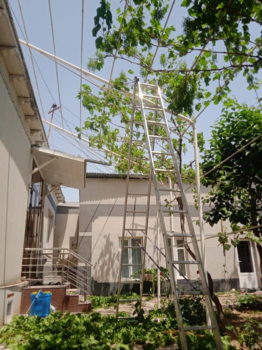 Sadovnik bogbon tok kesish archa gazon xizmati