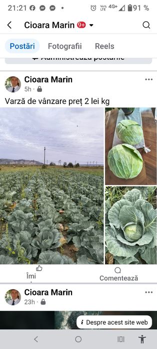 Varză de vanzare