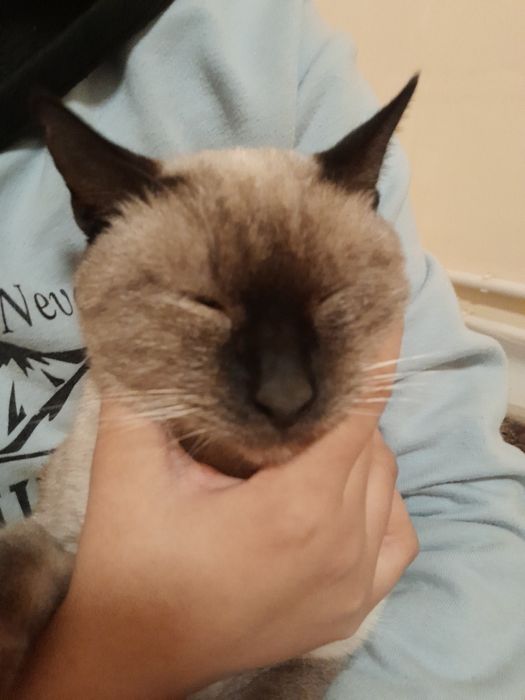 O'lgunicha garantiya beriladi