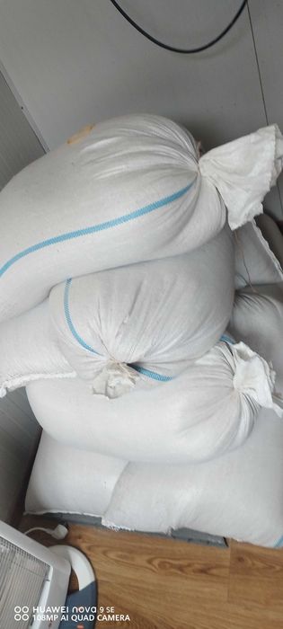 Grâu de anul acesta (2025)