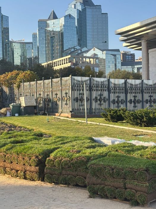 Газон рулонный живой газон премиум качества доставка и укладка