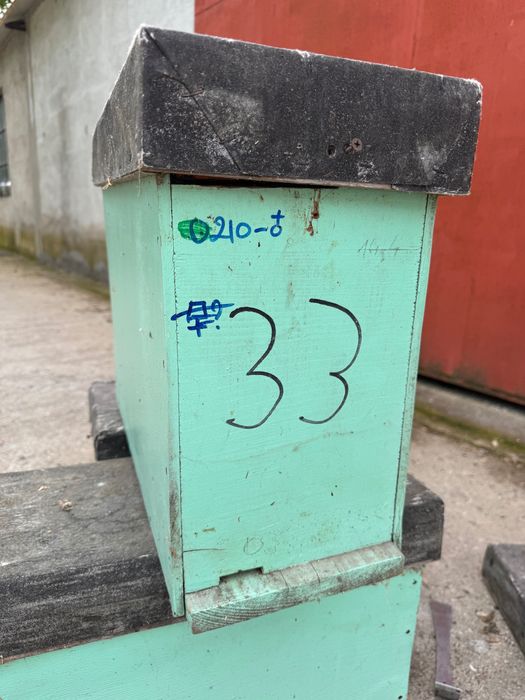 Vand roinite lada roi 5 rame dadant