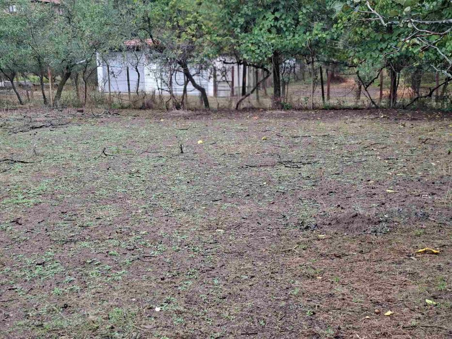 Продава се Къща в с. Манолово, Област Стара Загора - 1693 кв.м за 18 €/кв.м - Снимка #7