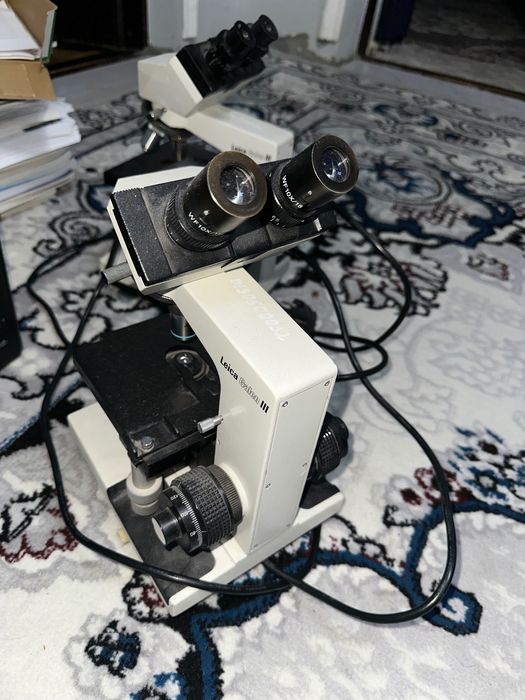 Mikraskob 2 Dona 2 tasiga 1 Milionga Kelib koʻrib olasila Srochno