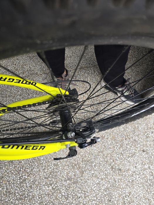 Omega Thomas 27.5