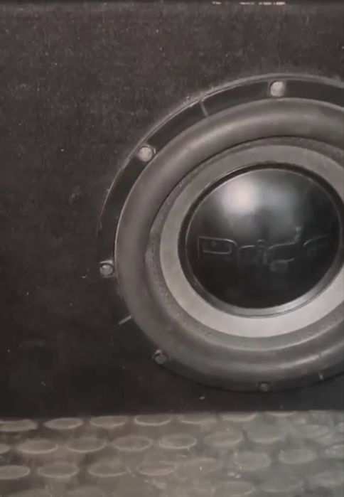 Сабвуферный динамик Pride 10ка