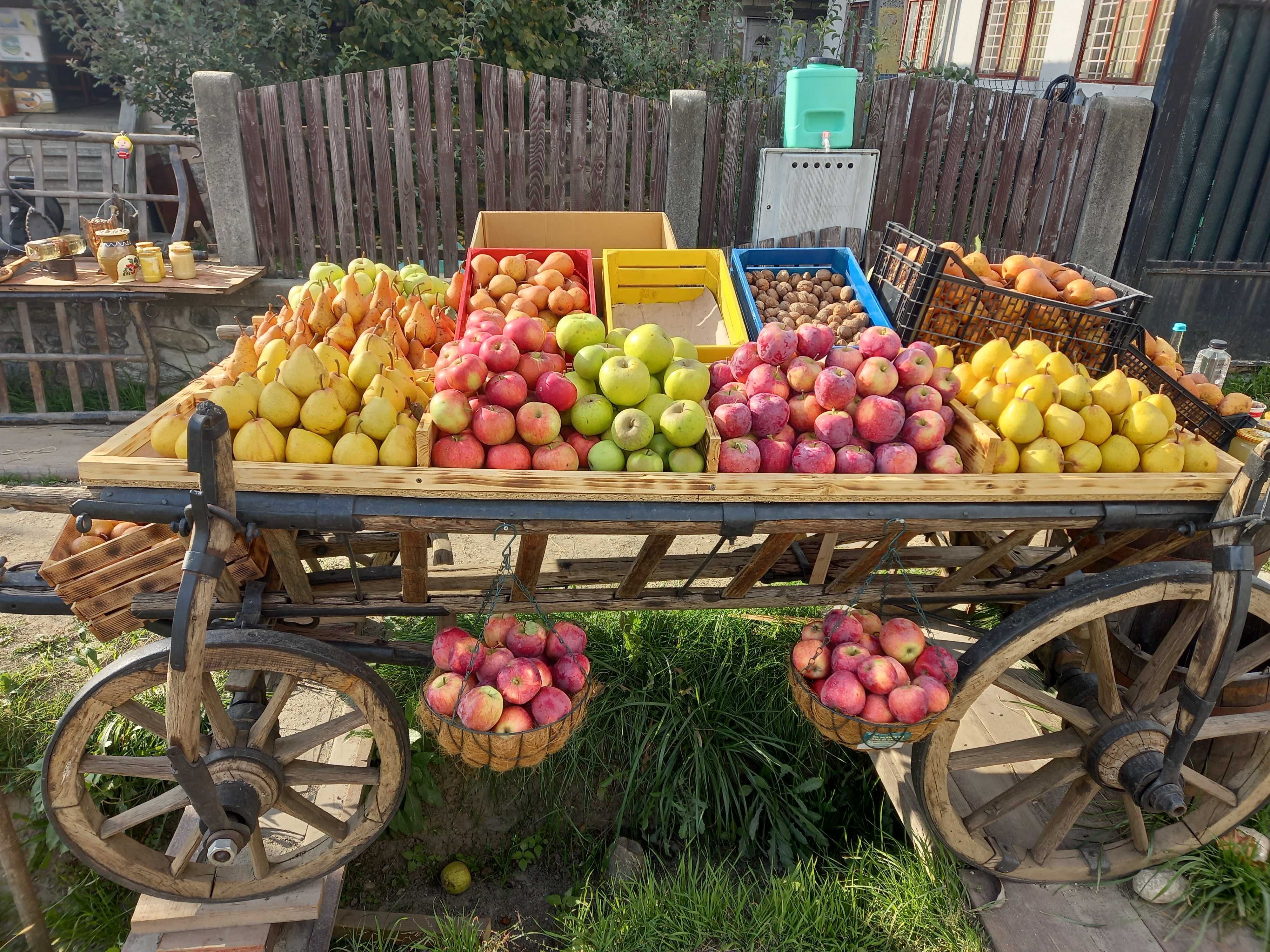 Car Rustic din lemn vechi, complet, recondiționat, decor grădină.