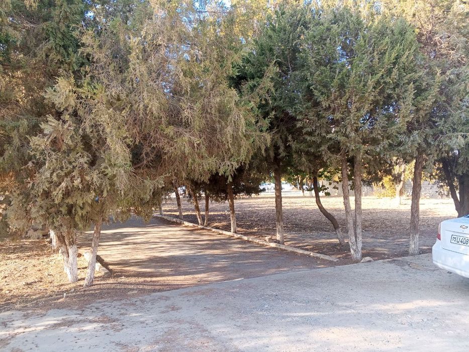 Умумий овкатланиш жойи