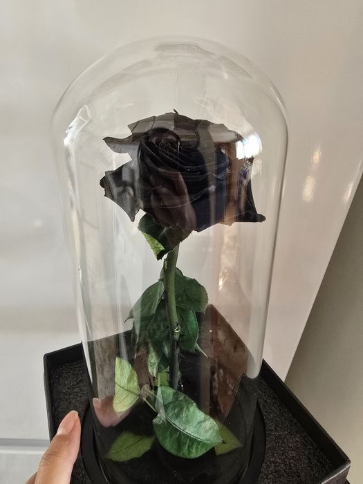 Вечна черна роза