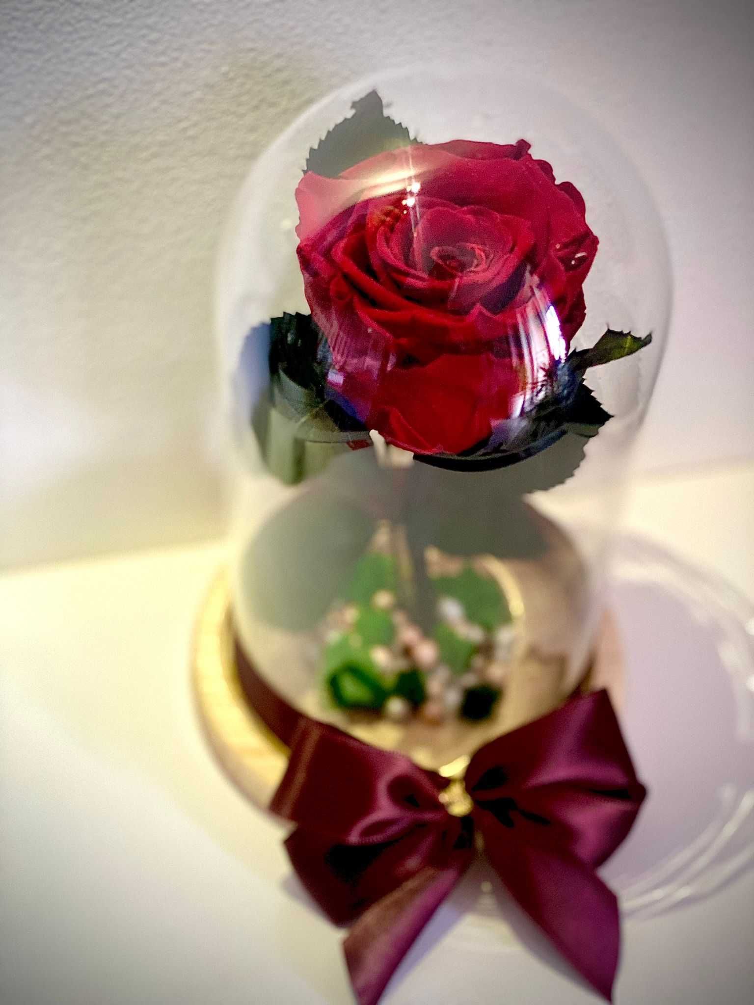 Trandafir criogenat rosu