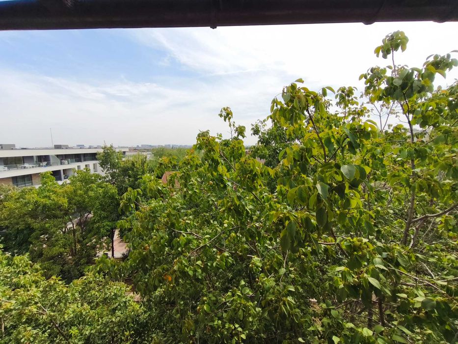 Pipera in apropiere de Gradina Zoo și Jollie Ville