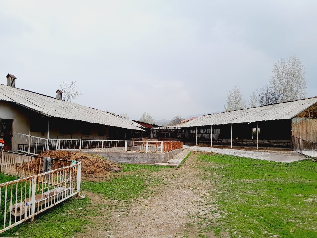 Ferma sotiladi...