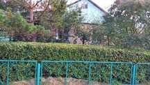 Продам дом в с.Бесколь
