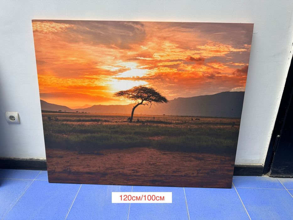 Големи канави – картини за декор