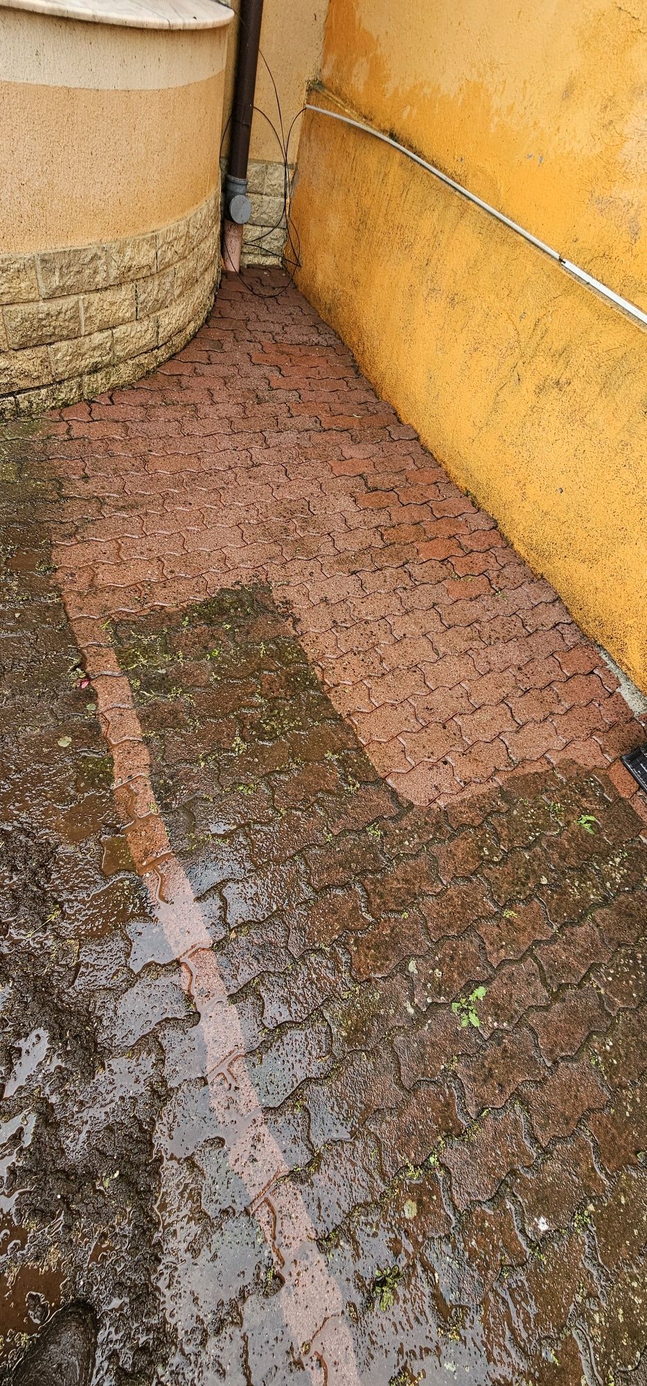 Curatare și igienizare pavaj dale beton amprentat