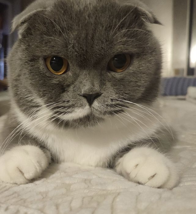 ВЯЗКАЯ  вязкая ВЯЗКАЯ  жде́м. Девочк