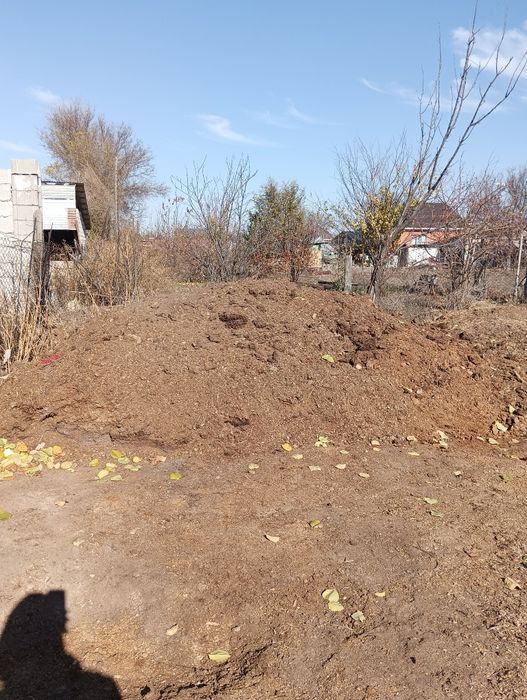 Отдам  конский навоз!